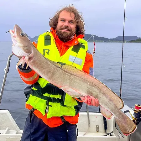 Dom wakacyjny 9 Person In Aram Sandvik (More og Romsdal)