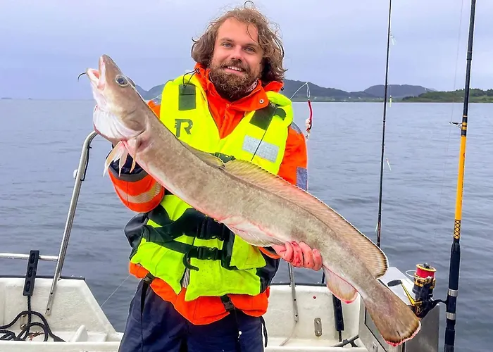 Dom wakacyjny 9 Person In Aram Sandvik (More og Romsdal)