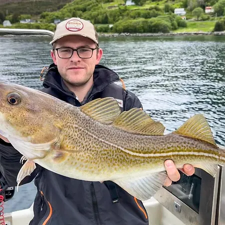 Сasa de vacaciones 9 Person In Aram Sandvik (More og Romsdal)