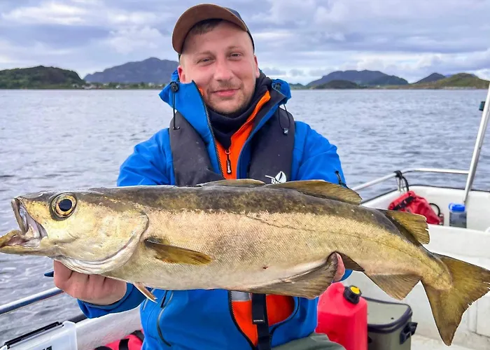 9 Person In Aram * Sandvik (More og Romsdal)